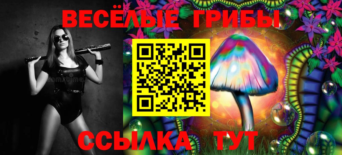 Галлюциногенные грибы мицелий  Псилоцибиновые грибы Magic Shrooms  Белгород  где можно купить наркотик  Вход с VPN 